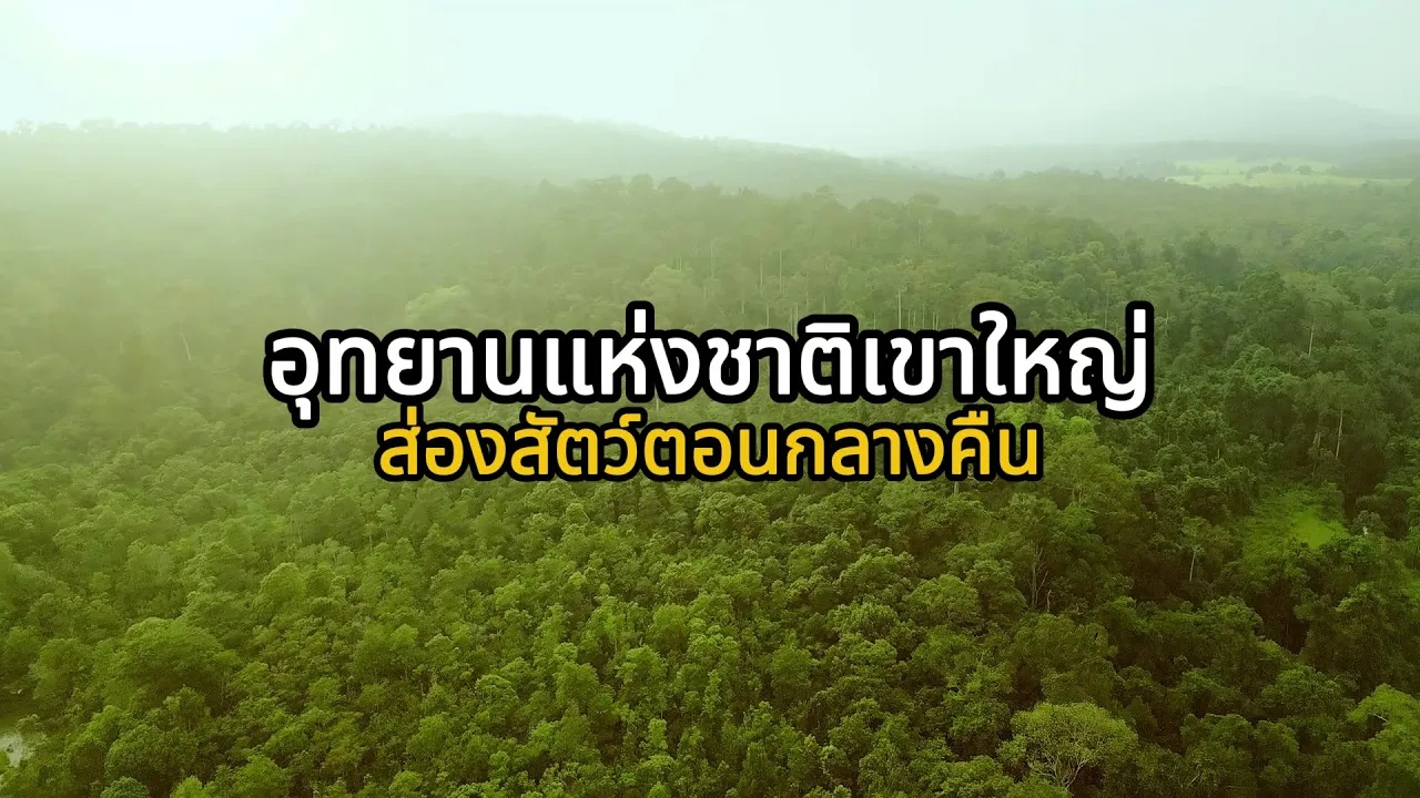 ส่องสัตว์ เขาใหญ่ นครราชสีมา