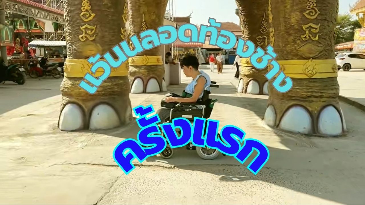 วีลแชร์ลอดท้องช้างครั้งแรกของพี่